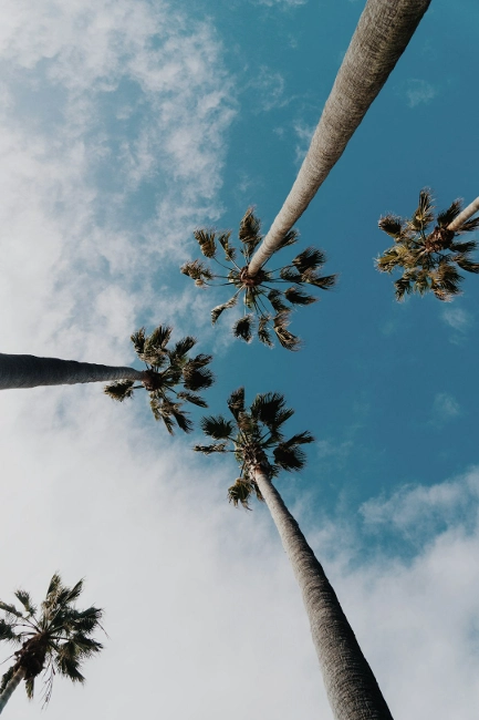 sustainable luxury brands