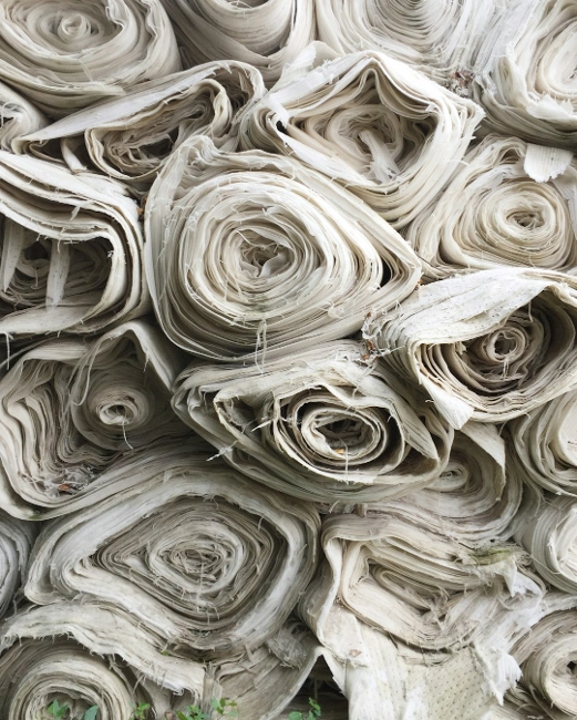 cotton fashion