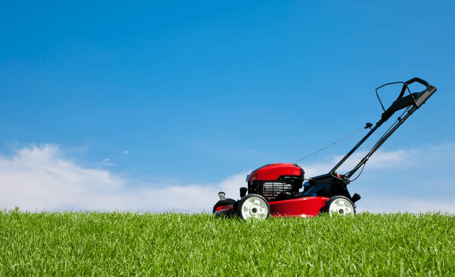 5 Best Ways To Cutting Your Lawn