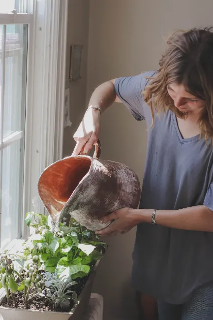 woman watering plant