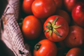 big-boy-tomatoes