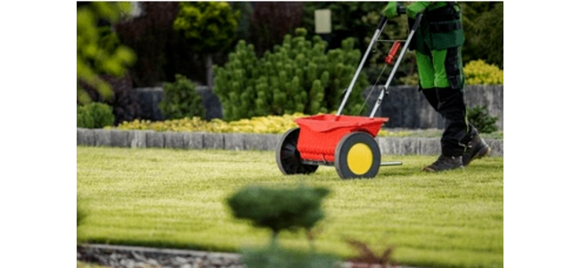 seeding-lawn