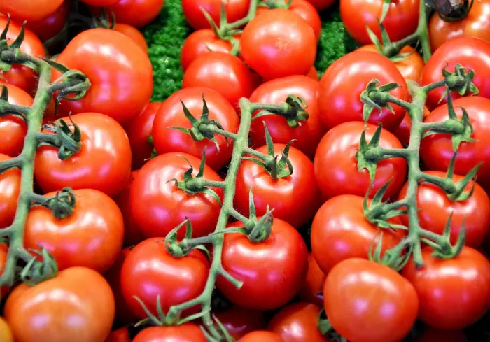 early girl tomatoes