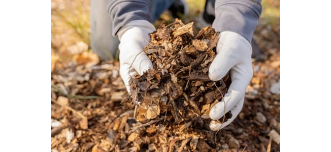 winter-composting 