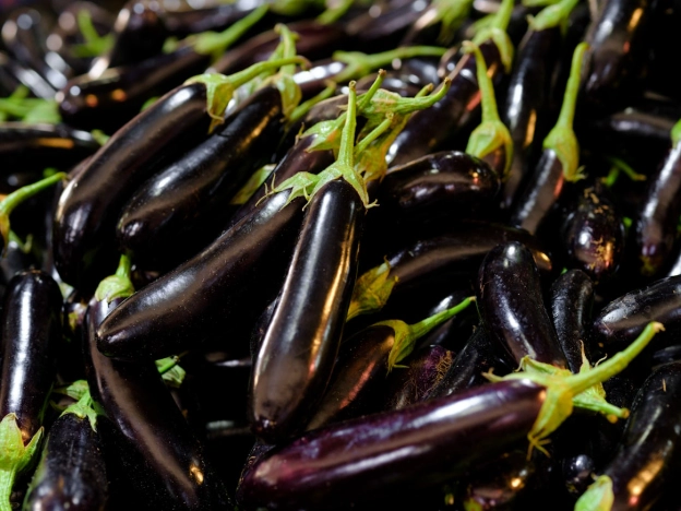 Eggplant Dip