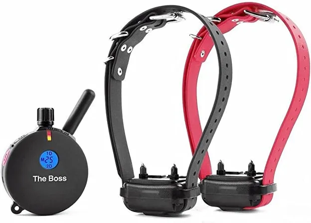 Educator E-Collar Humane Dog Training Collar with Remote