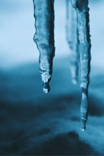 icicles