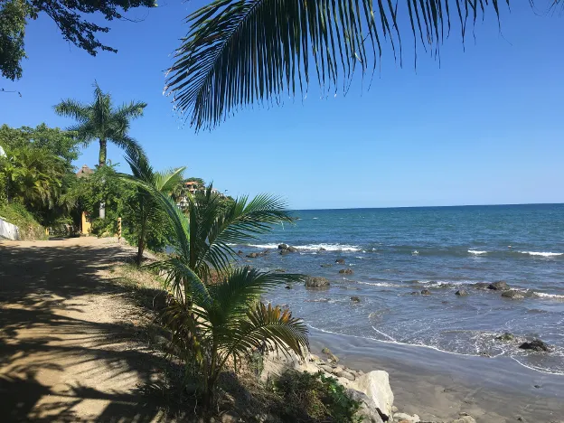 Ocean view from a palm-lined coastal path, in Sayulita Mexico, symbolizing the ability to follow favorable weather year-round in an RV.