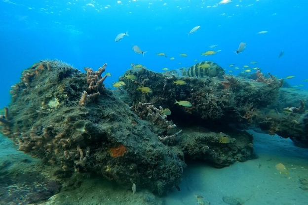Lauderdale-by-the-Sea Snorkel Stop