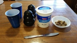 frozen kong with yogurt