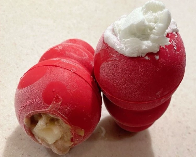 frozen kong dog toy
