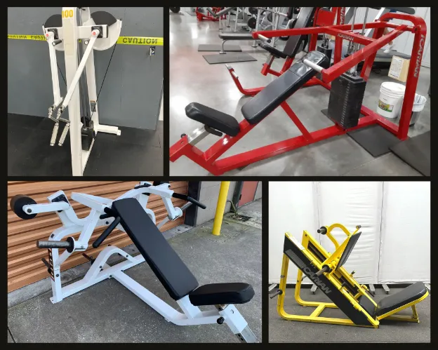 Icarian best sale gym equipment