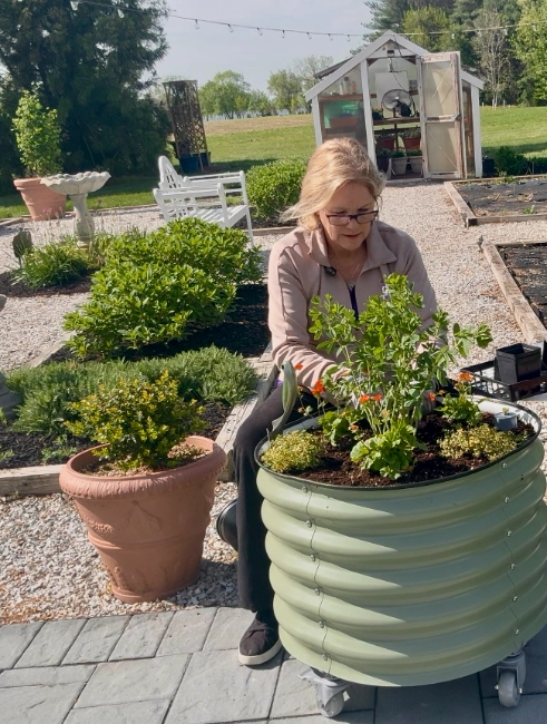 planting the Vego Rollng Raised garden planter