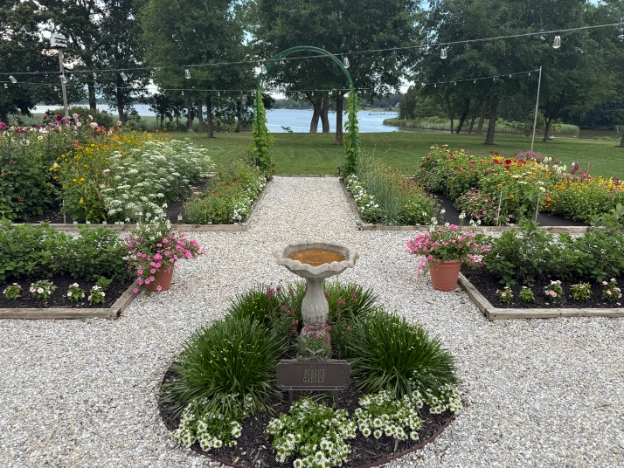 cut flower garden
