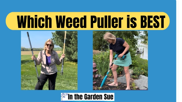 Stand up weed puller