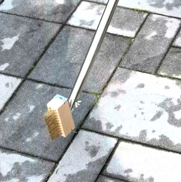 moss remover tool