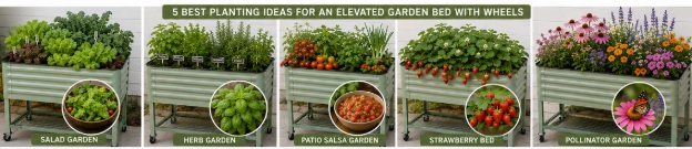 vego garden bed with plants 