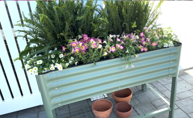 vego garden 