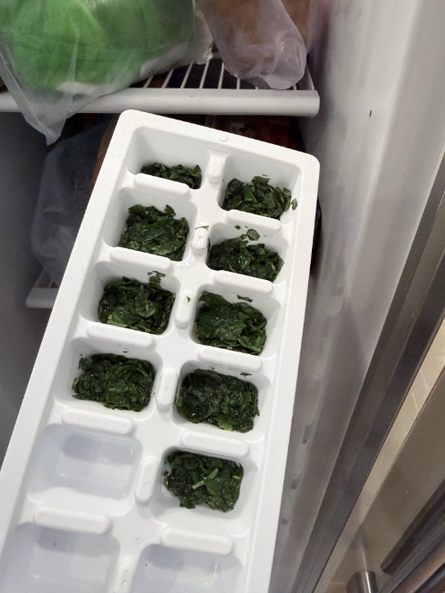 freezing basil
