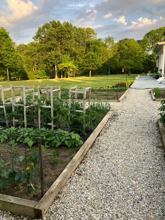 vegetable garden