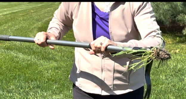 standing weed puller