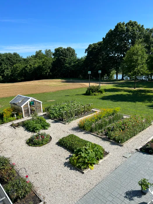 what-is-the-best-soil-for-raised-beds