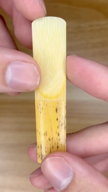 Vandoren Alto Sax 3 Reeds