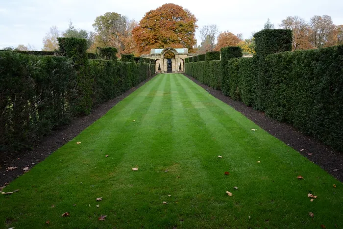 Stripes In Lawn Care 