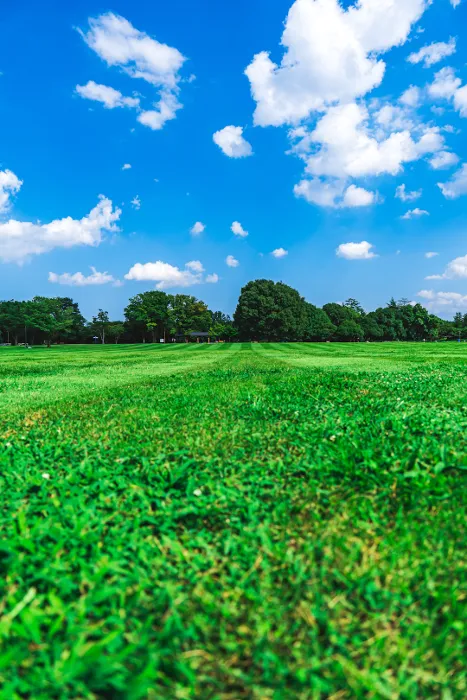 very big stripped lawn and a question: What Color Paint Mower For Best Striping Grass