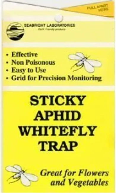 Yellow Sticky Aphid Whitefly Trap Pack of 15