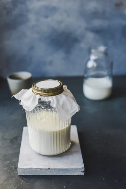 homemade kefir