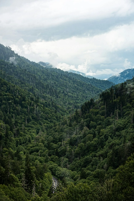 smoky mountains view