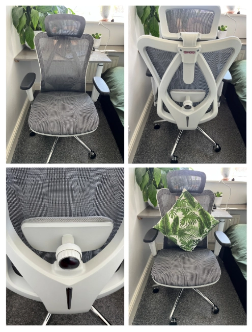 SIHOO Doro C300 lumbar support for work from home setup