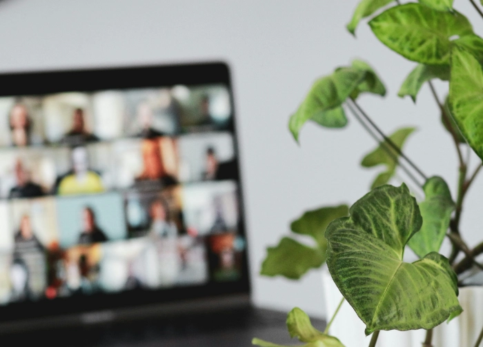 Virtual Assistant business working with multiple clients during an online meeting.