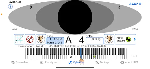 iRCT Reyburn CyberTuner