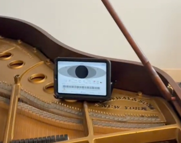 iPad Piano Tuning