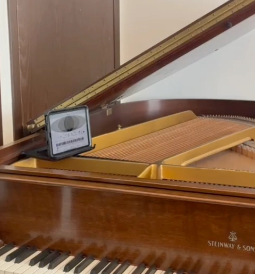 iPad Piano Tuning