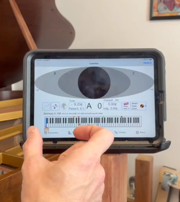iPad mini piano tuning