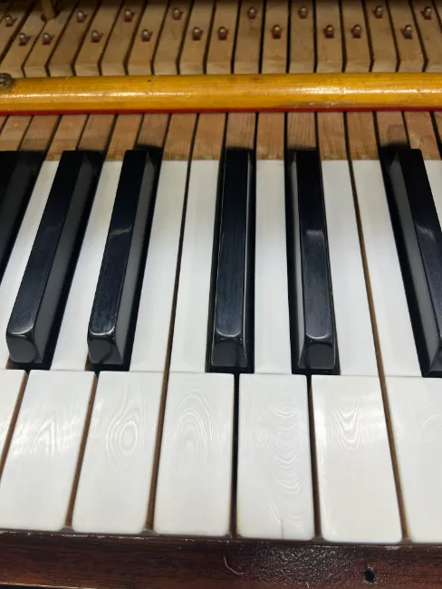 Ivory Keys