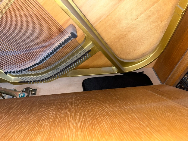 Tuning Lever Storage