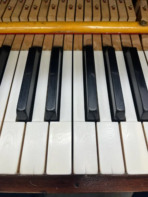 Piano keys deals made of ivory