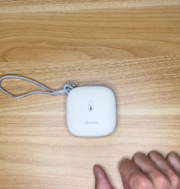 Govee Hygrometer and Thermometer