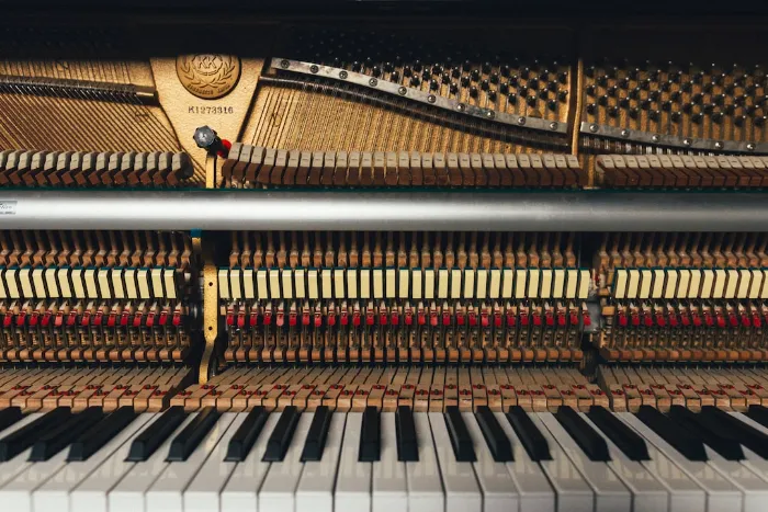 Inside of a Piano tuning