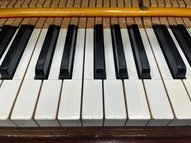 Ivory Keys