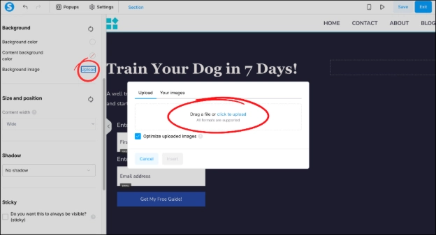 Changing the background image in Systeme.io's funnel editor