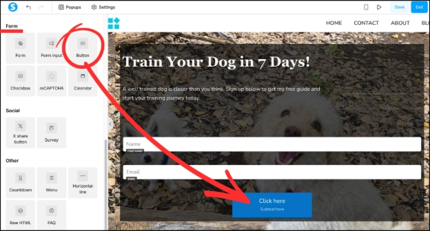 Adding a button element to a Systeme.io opt-in form