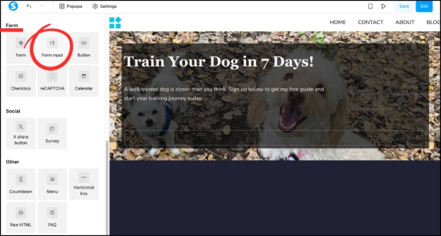 Finding form input in the Systeme.io funnel editor