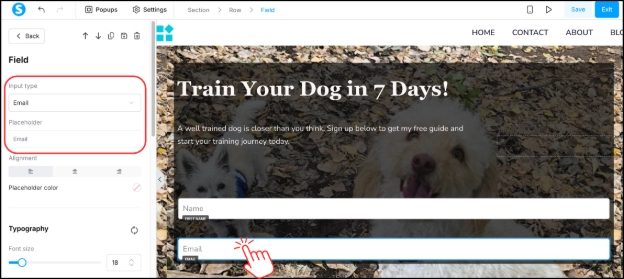 Systeme.io input type set to Email and Placeholder text changed to Email