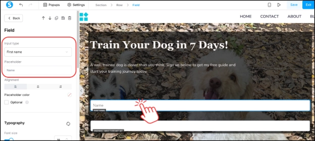 Systeme.io input type set to First Name and placeholder text changed to Name