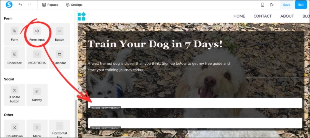 Adding Form Input elements to a funnel page in Systeme.io